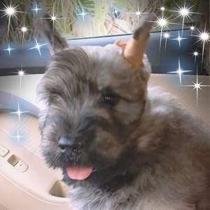 Meet your Posher, Susy